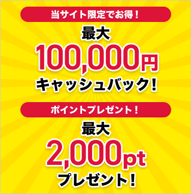 当サイト限定でお得!、ポイントプレゼント!