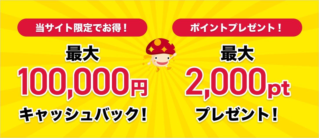 当サイト限定でお得!、ポイントプレゼント!